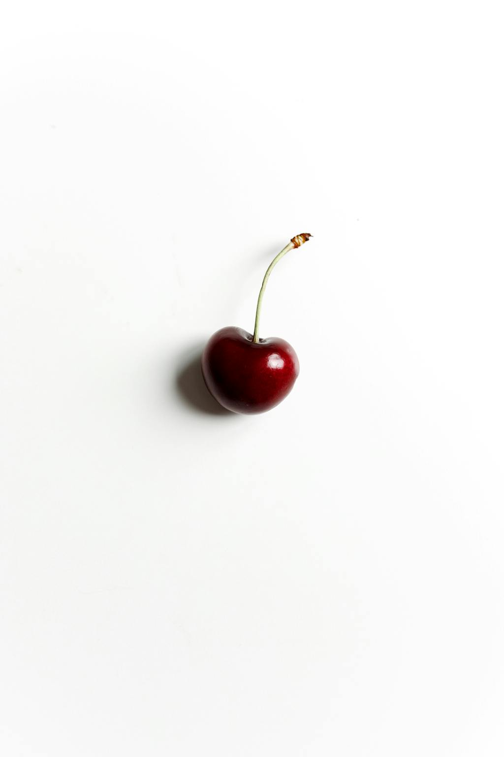 A single cherry isolated on a white background, showing its vibrant red color.